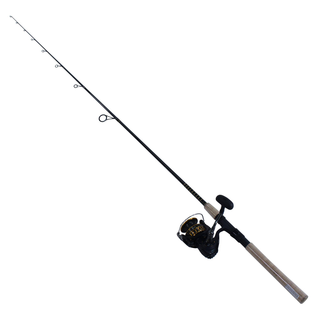 Saltwater Spinning Combo Z2503