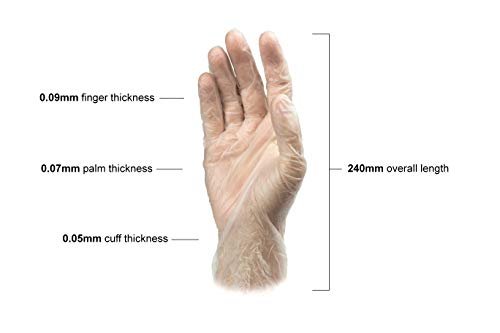 Clear Vinyl Exam Gloves, Extra-Large, Pack of 1000 D7422