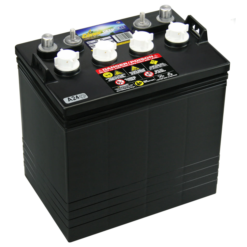 8V Deep-Cycle Flooded Battery Z54398