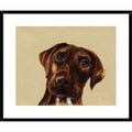 Bright White Framed Print S263