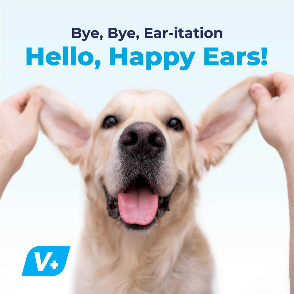 Ear Drops for Dogs & Cats with Hydrocortisone G979