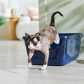High Sided Cat Litter Box U6875