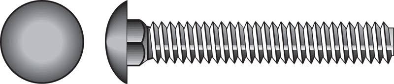 Hot Dipped Galvanized Carriage Bolt H9642