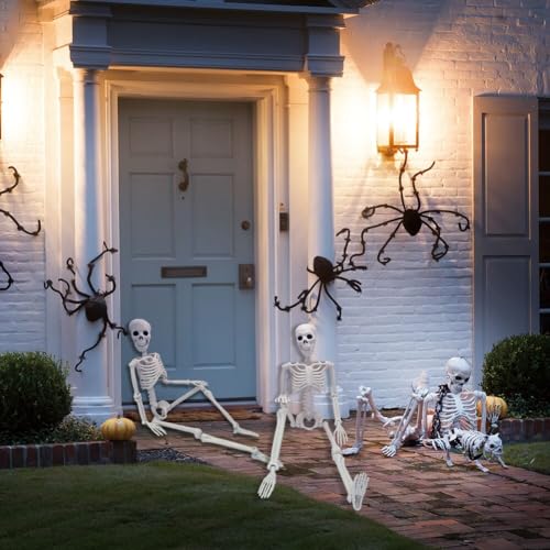 5.4ft/165cm Life Size Skeleton with Movable Joints Z9584
