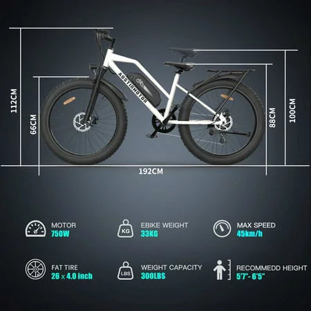 Electric Mountain Bike 750W 48V 13AH Fat Tire T805