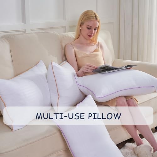 King Size Set of 2 Breathable Down Alternative Microfiber Pillows R369