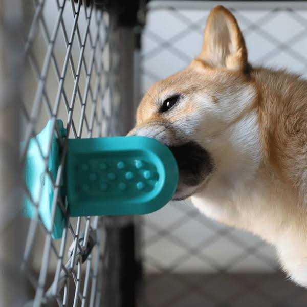 Dog Crate Training Aid O19482