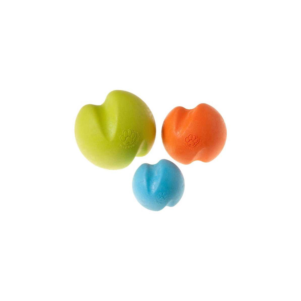 Dog Toy R505378