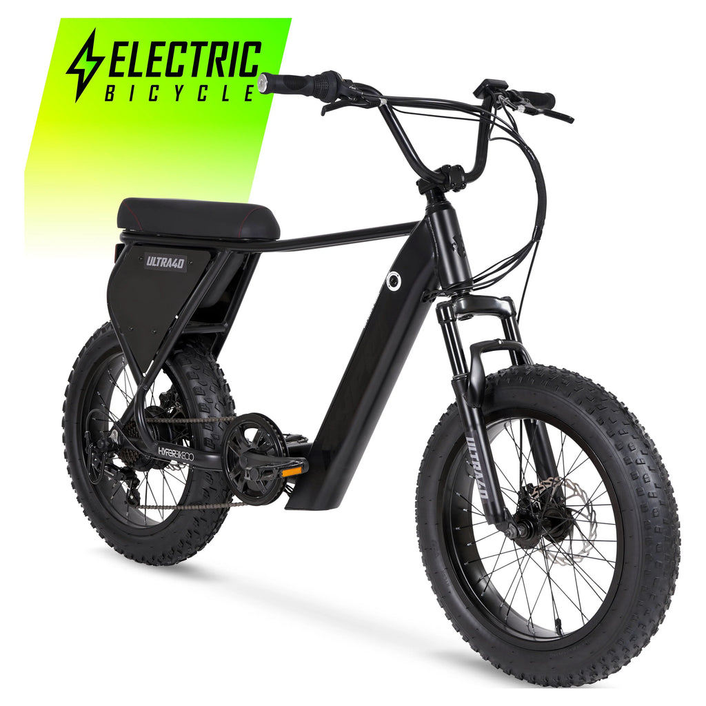 20 36V 250W Electric Bike Matte Black P99804
