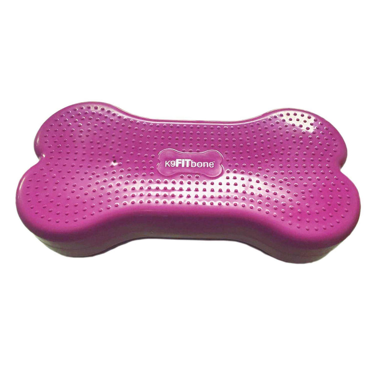 Agility Training Pet Supplies P3002