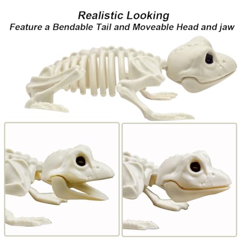 5.4ft/165cm Life Size Skeleton with Movable Joints Z9584