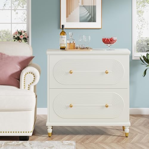 Gray 2-Drawer Wooden File Cabinet Y508