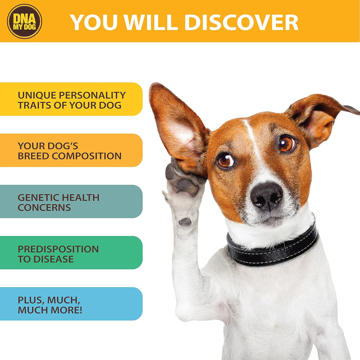 Canine Breed Identification Test G451275