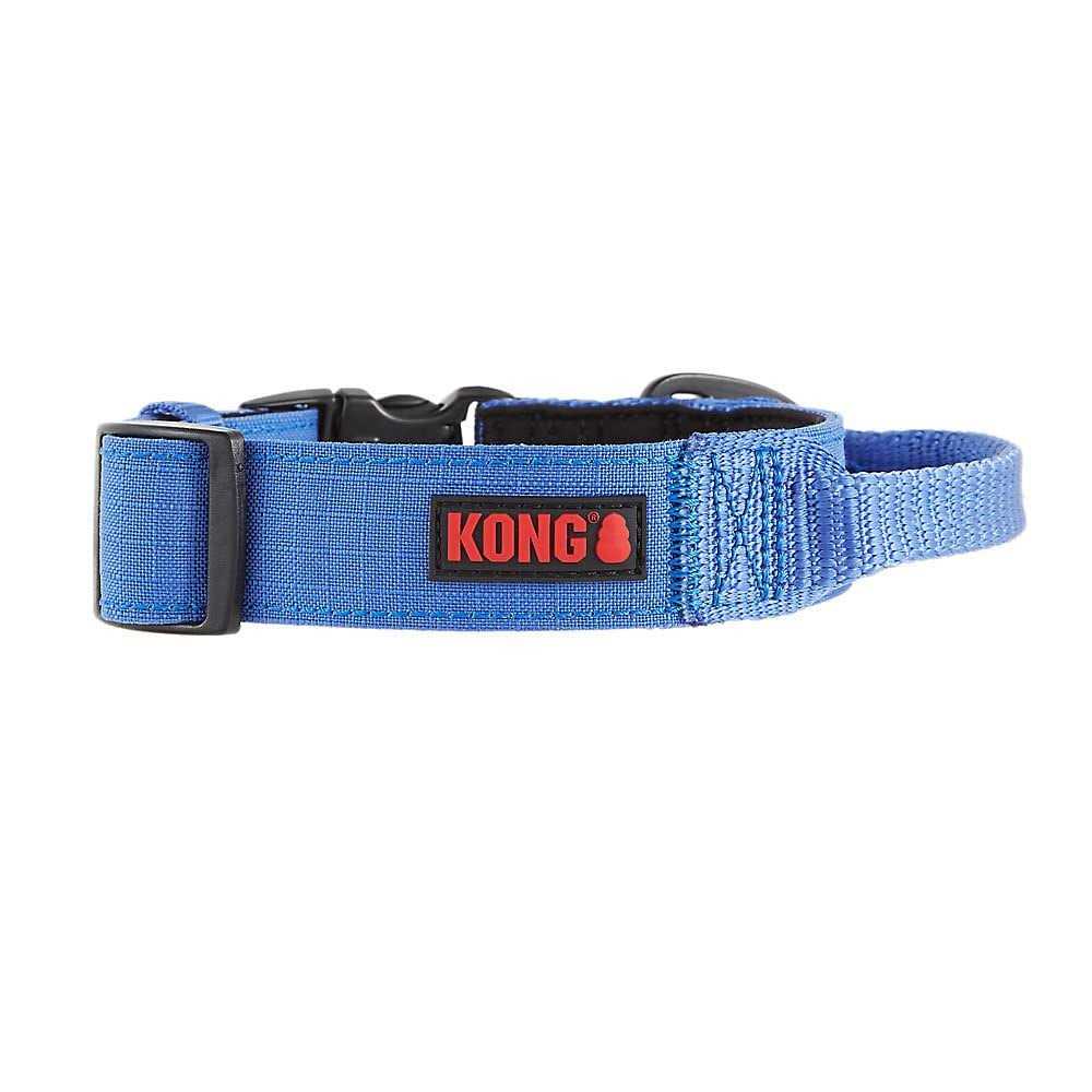 Padded Dog Collar Y64601