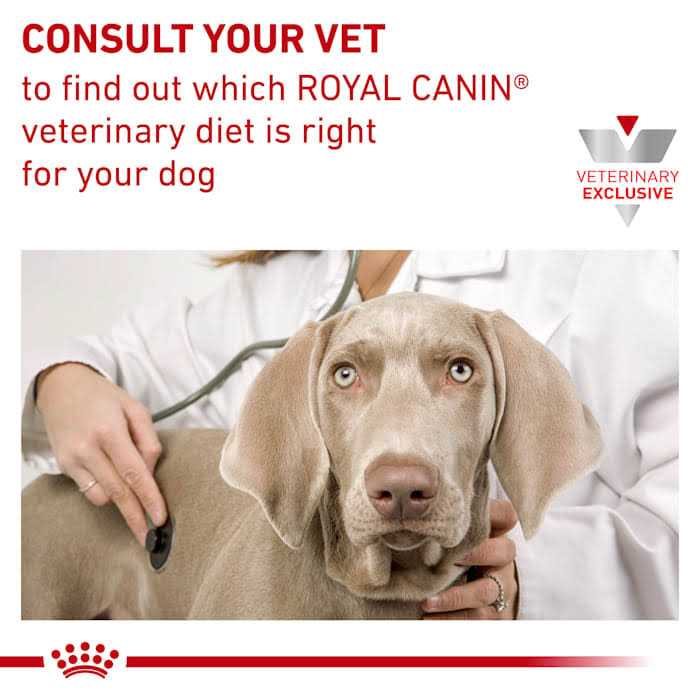 Veterinary Diet Dry Dog Food G81420