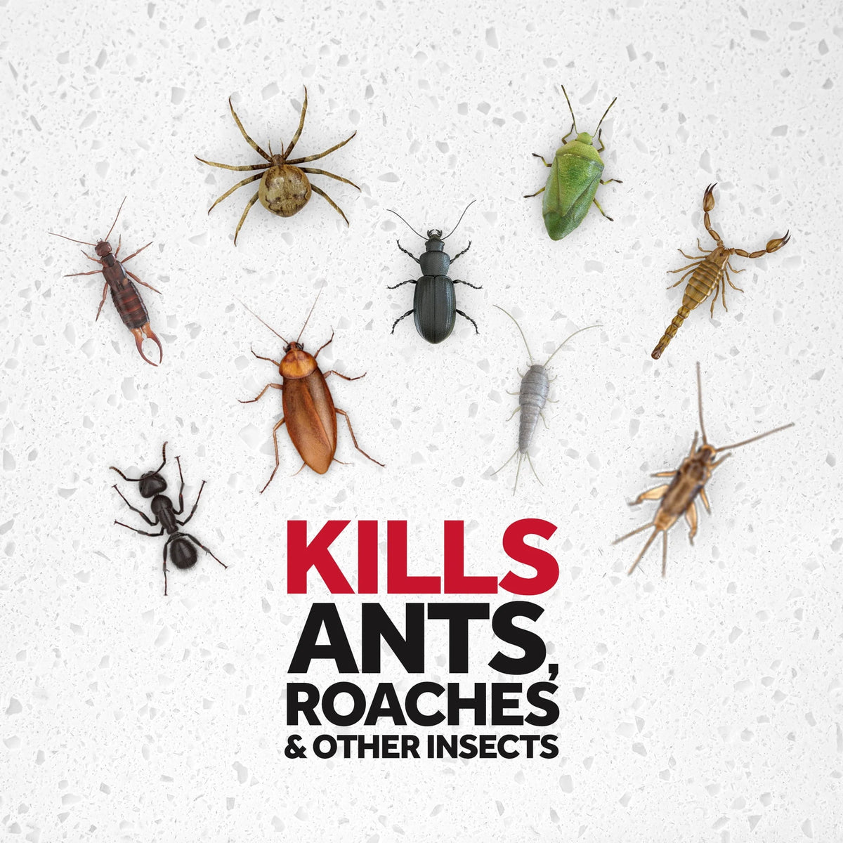 Ant & Roach Killer Outdoor Fresh Scent 17.5 oz 2 ct X31932