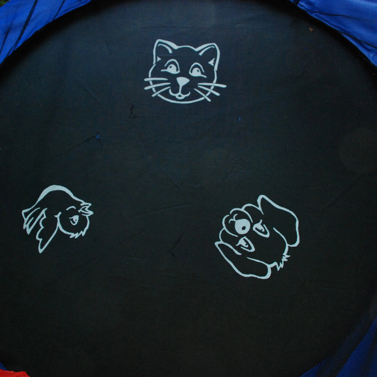 55-Inch Trampoline with Enclosure and Sound, Blue R652383