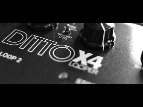Ditto X4 Looper Pedal W806991