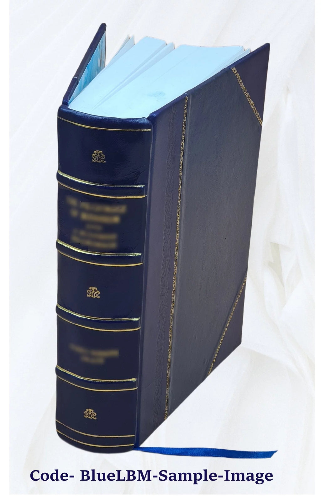 Leather Bound Furniture and Furnishings R52607