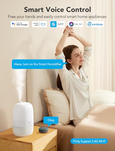 3L Cool Mist Humidifier with Essential Oil Diffuser T8083