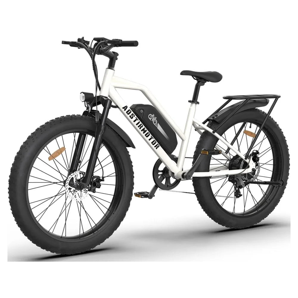 Electric Mountain Bike 750W 48V 13AH Fat Tire T805