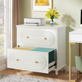 Gray 2-Drawer Wooden File Cabinet Y508