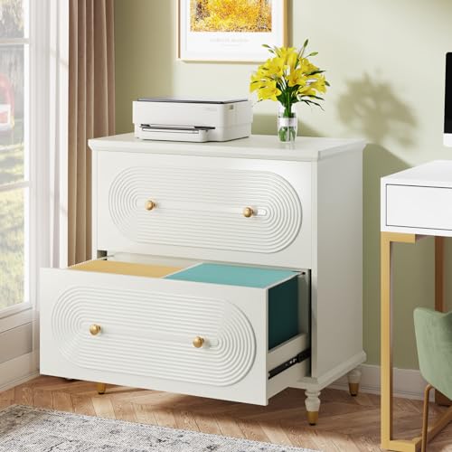 Gray 2-Drawer Wooden File Cabinet Y508