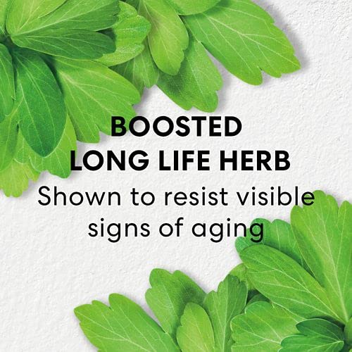 Face Serum Infused with Niacinamide P6844