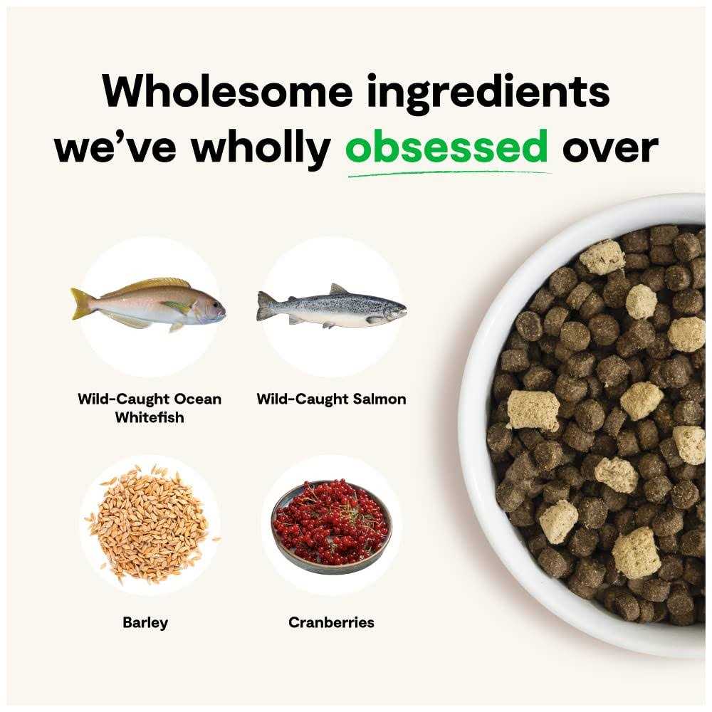 Wild Ocean Ancient Grains Dog Food I516