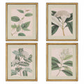 Set of 4 F965389
