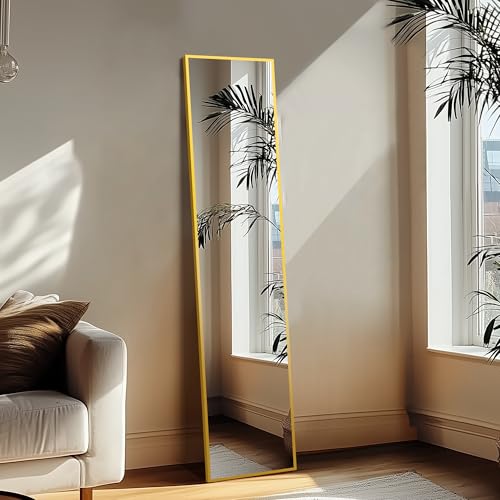 Black Full Length Floor Mirror with Aluminium Frame O225