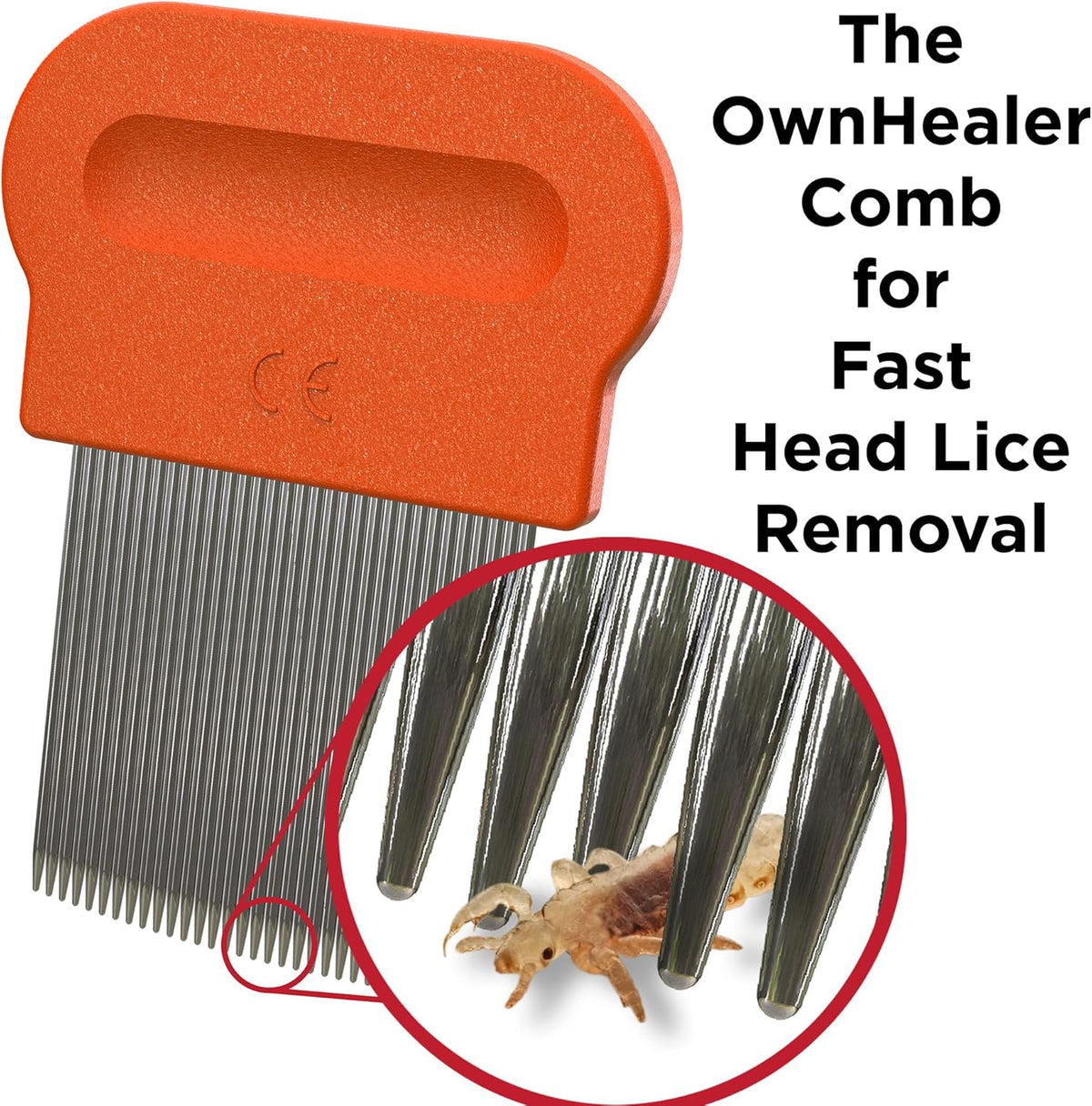 Professional Lice Comb Kit Z64739