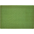 Grass Green 4x6 Rectangle Kids Carpet O155417