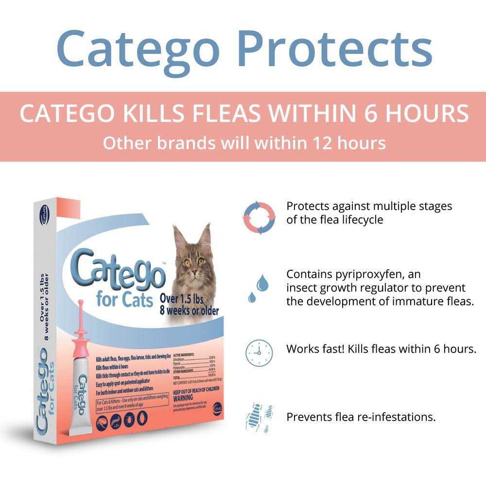 Flea & Tick Treatment for Cats F62013