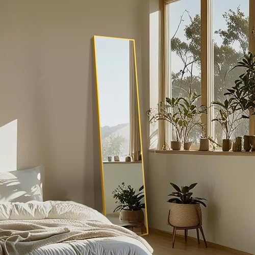 Black Full Length Floor Mirror with Aluminium Frame O225
