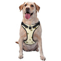 Reflective Adjustable Dog Harness E720