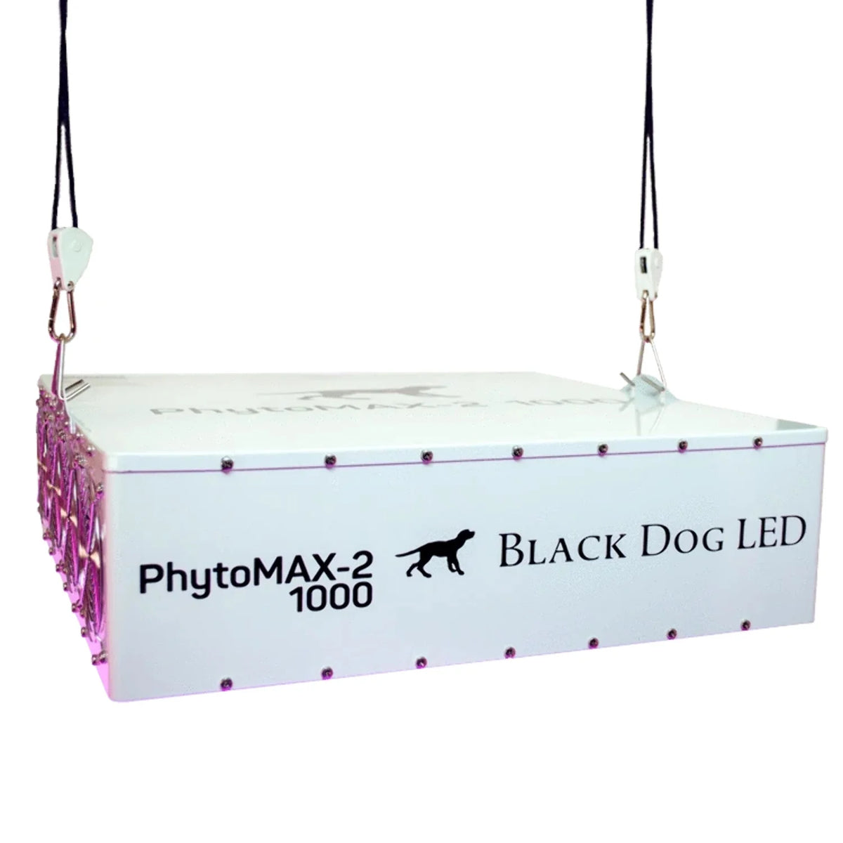 4X4 LED Grow Kit N2334