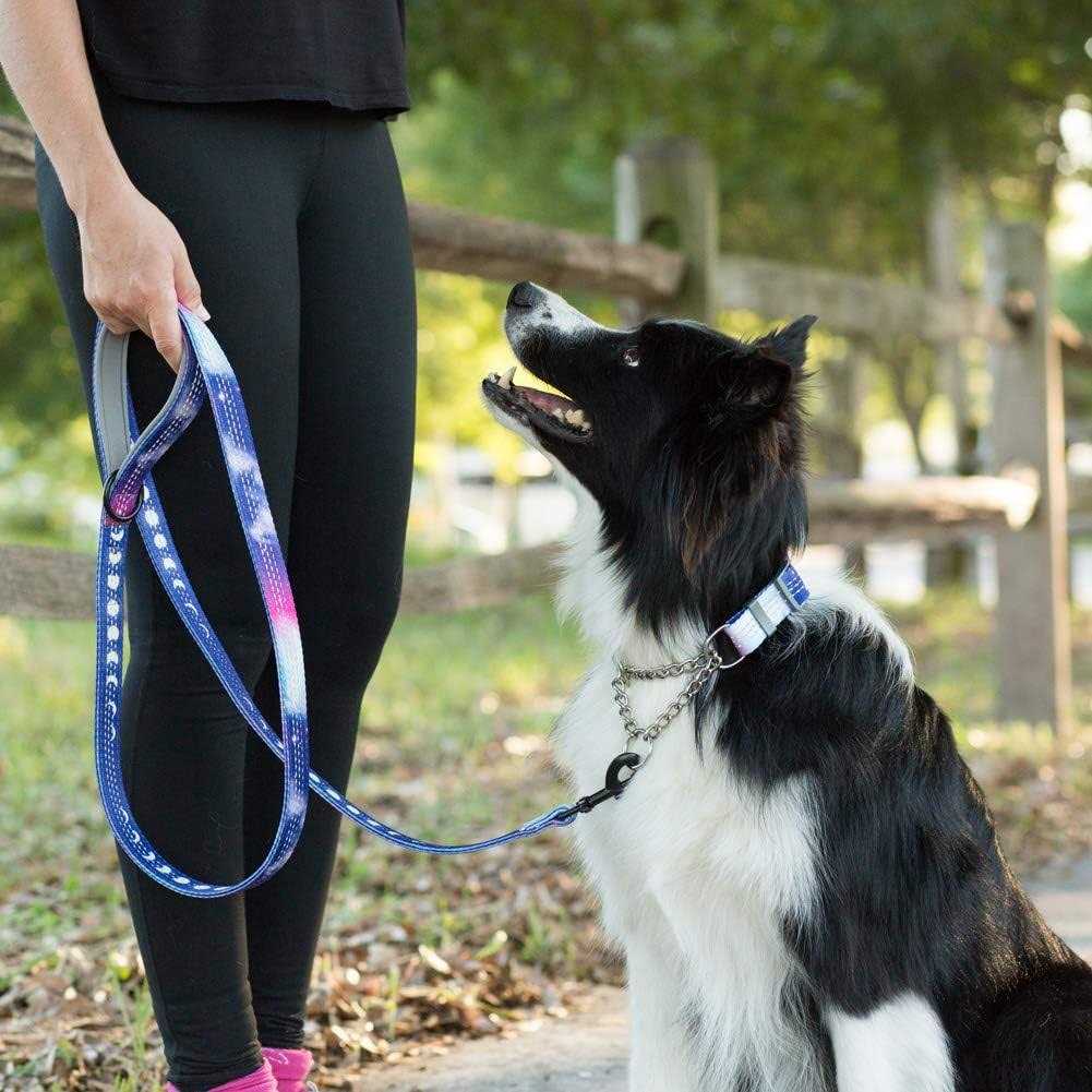 Patterned Reflective Chain Martingale Dog Collar G2484