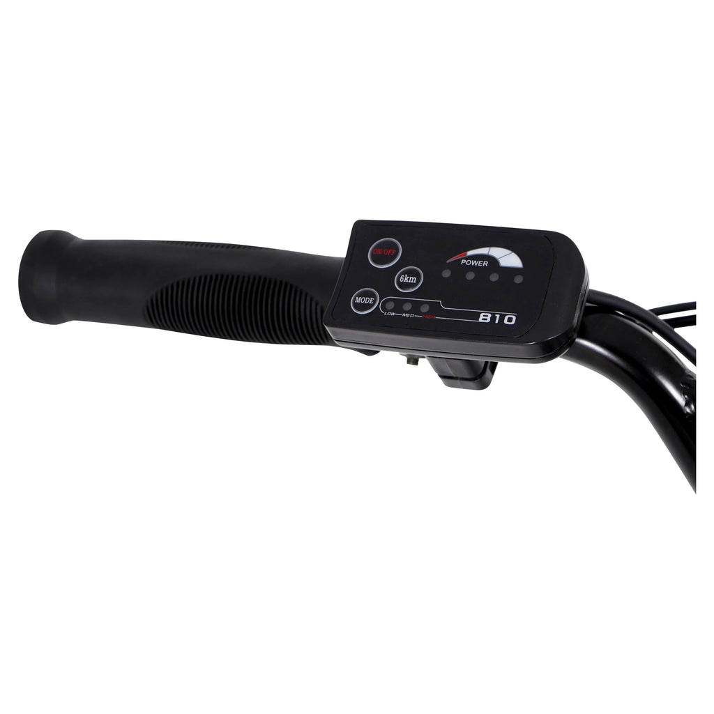 20 36V 250W Electric Bike Matte Black P99804