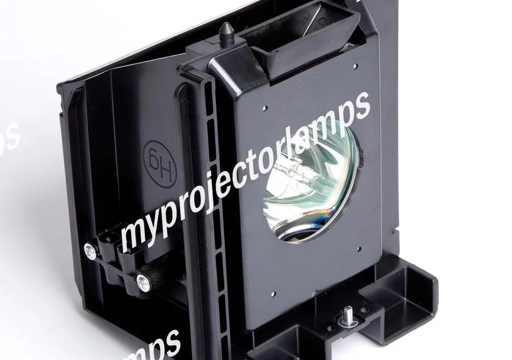 Projector Lamp with Module X490447