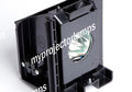 Projector Lamp with Module X490447