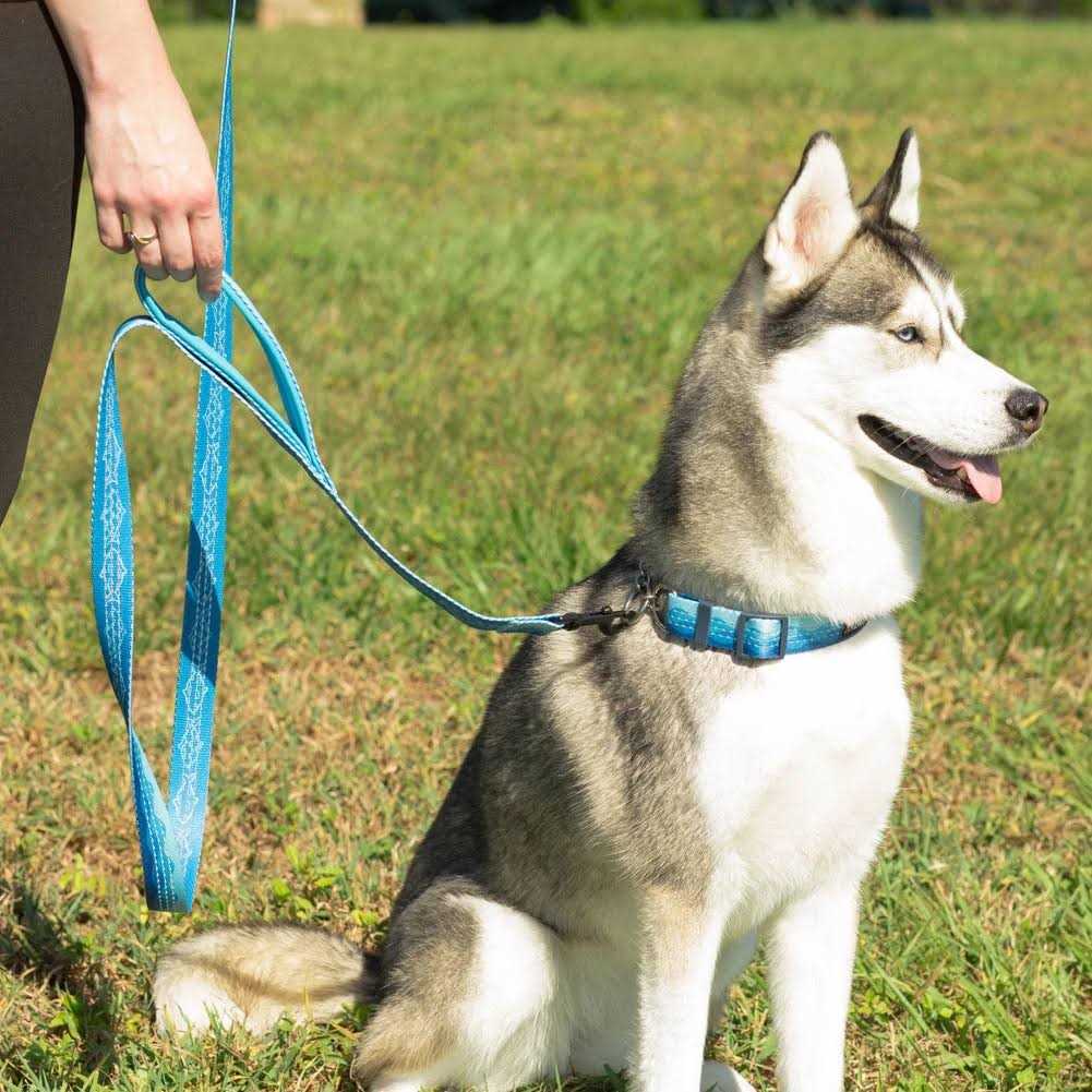 Patterned Reflective Chain Martingale Dog Collar G2484