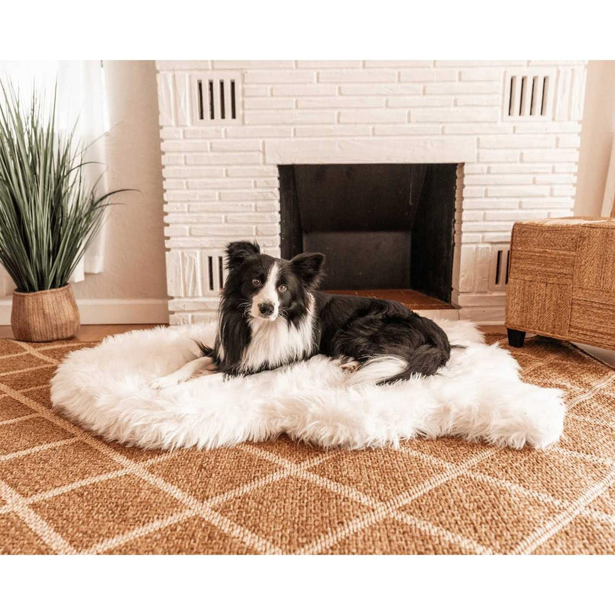 Faux Fur Orthopedic Dog Bed H970