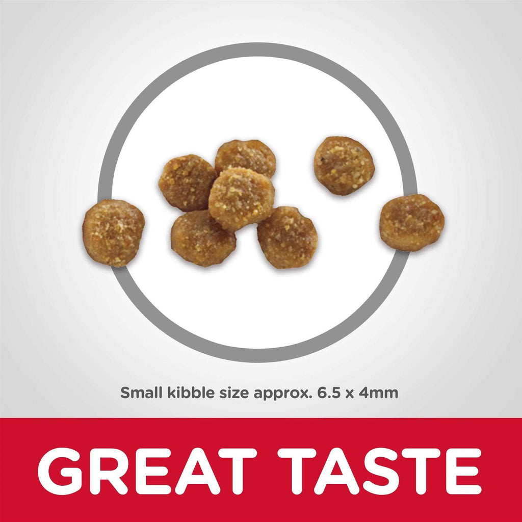 Dry Cat Food O69901
