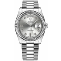 Silver Diamond Scale 41mm Watch D558