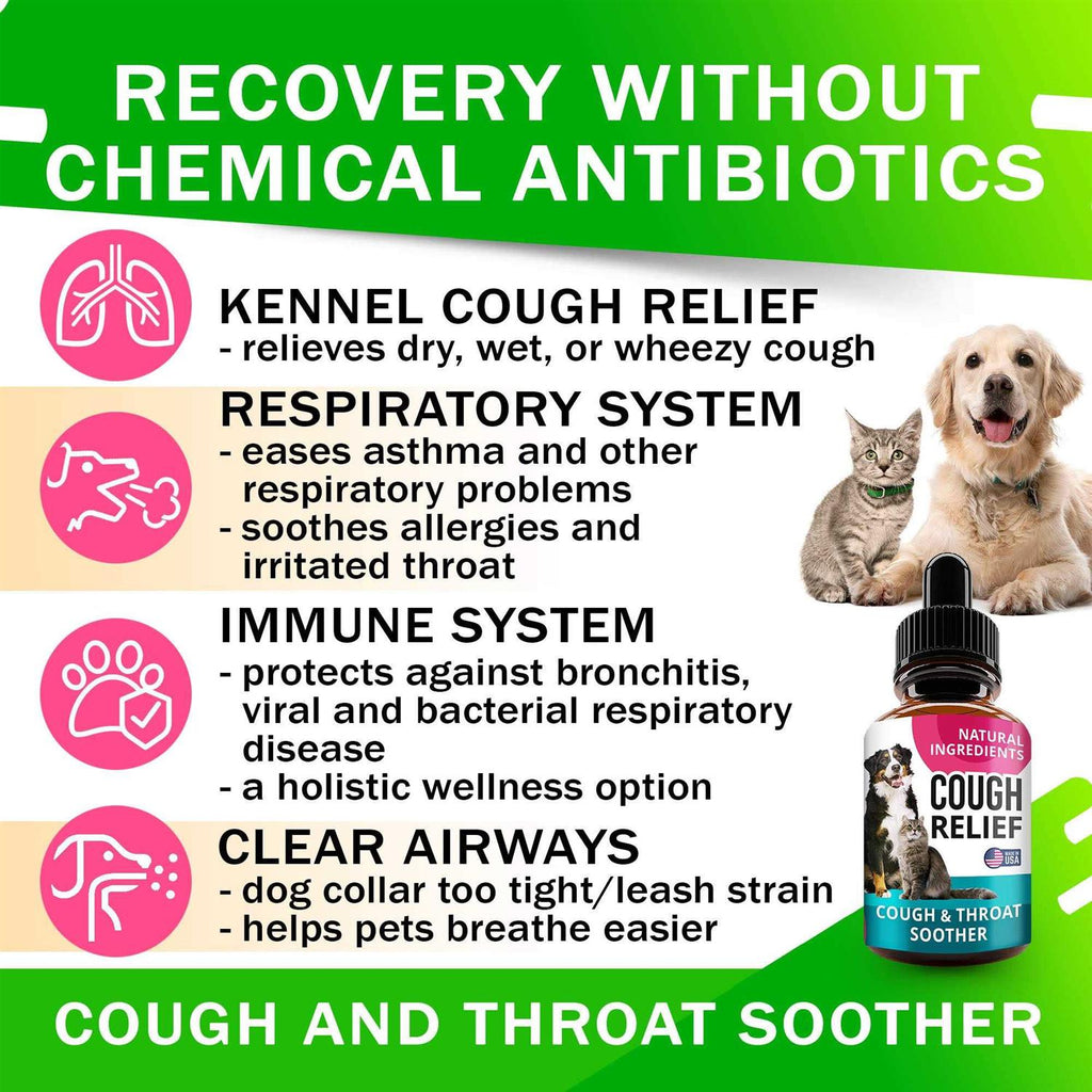 Kennel Cough Drops for Dogs and Cats 2oz Q92884