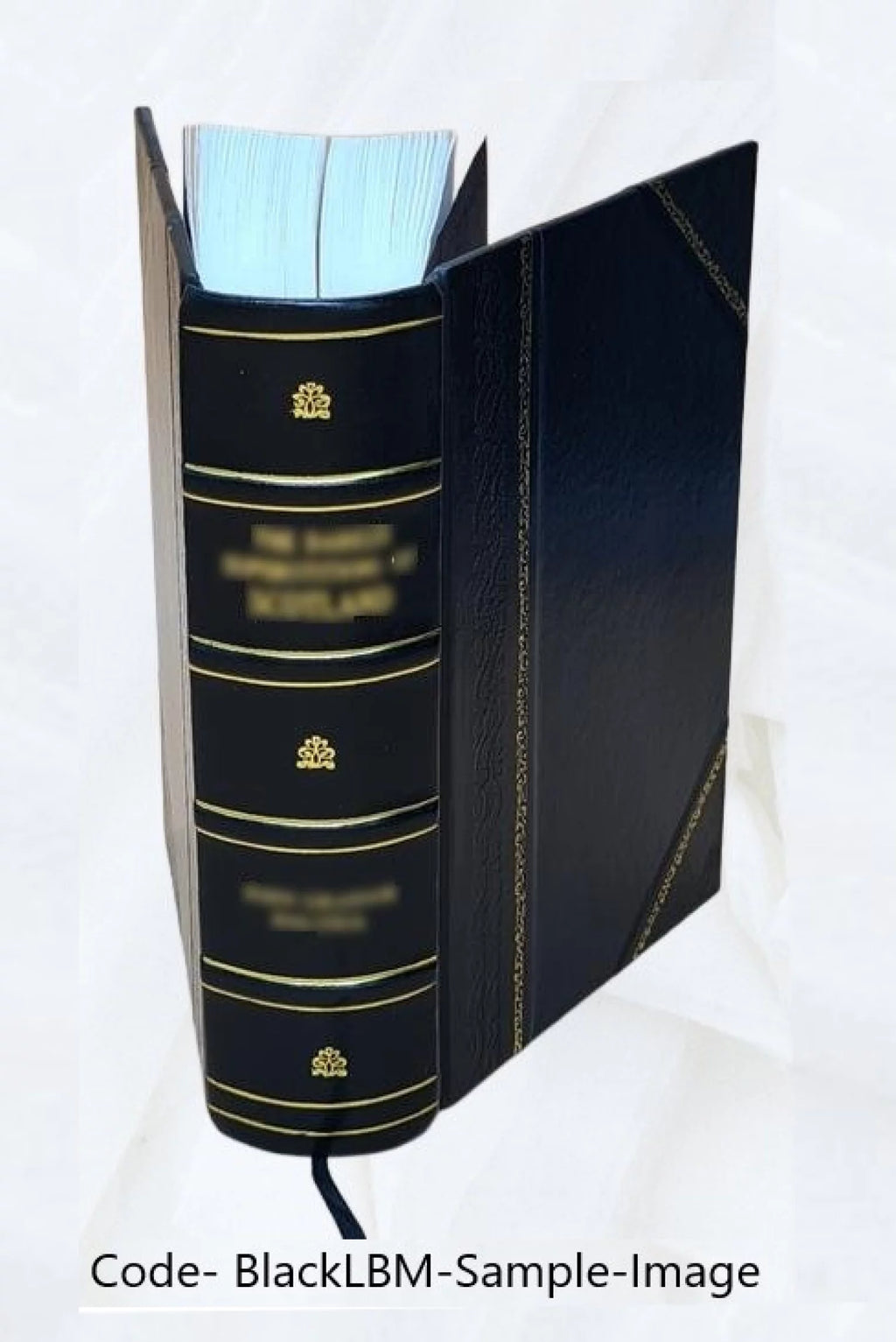Leather Bound Furniture and Furnishings R52607