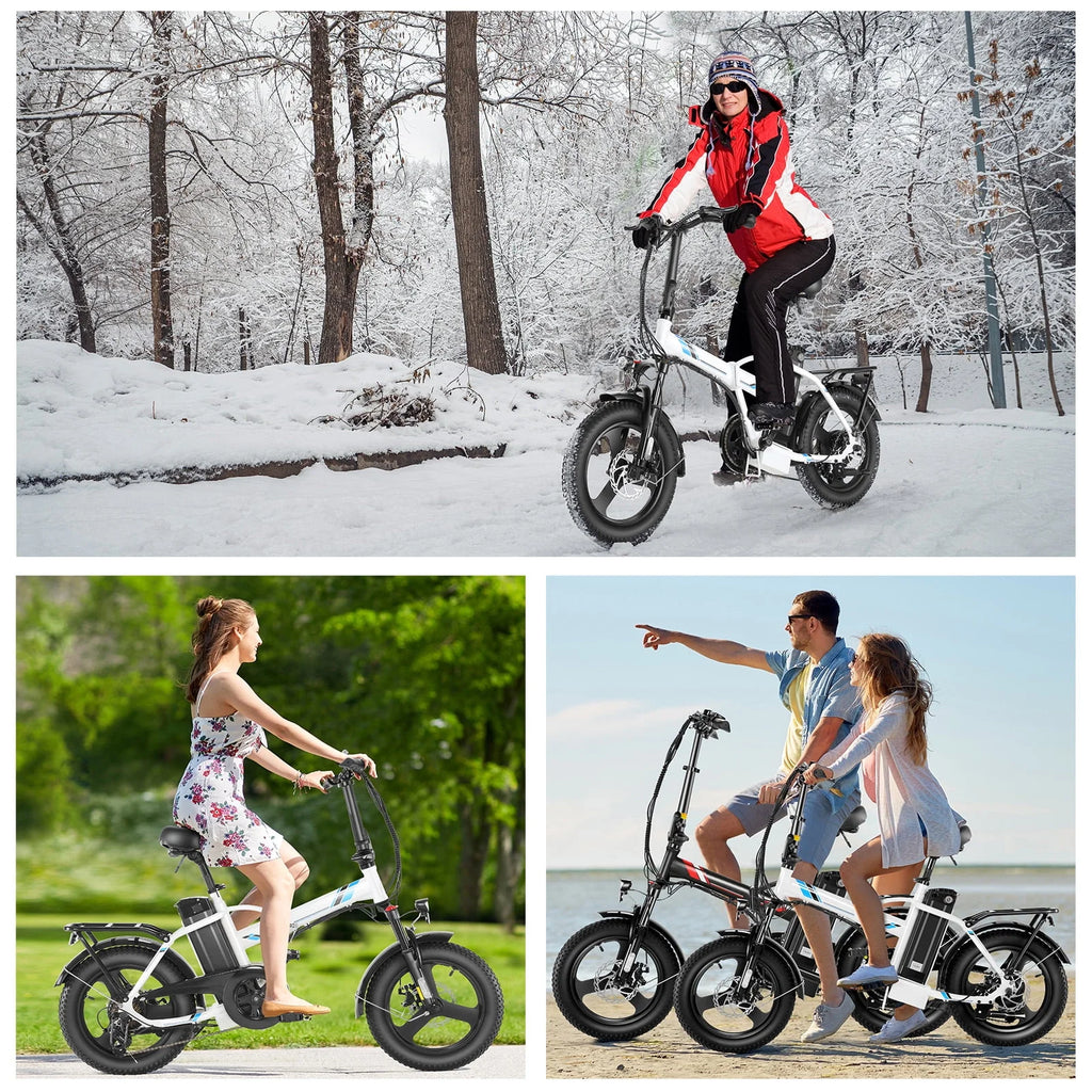 Fat Tire Folding Electric Bike with LCD Display W632