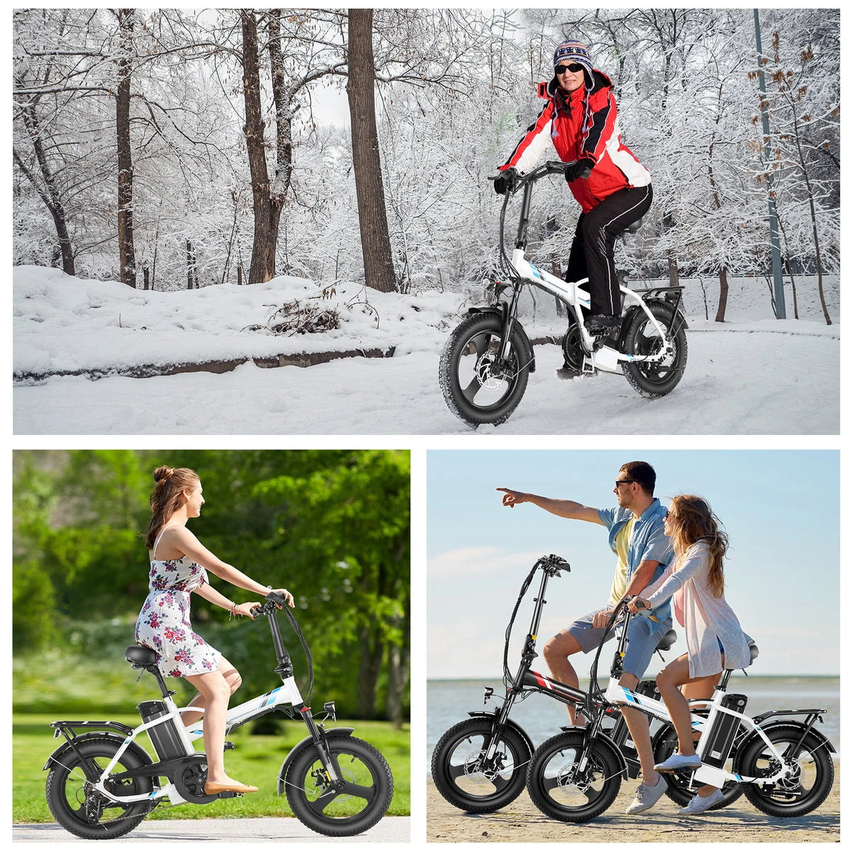Fat Tire Folding Electric Bike with LCD Display W632