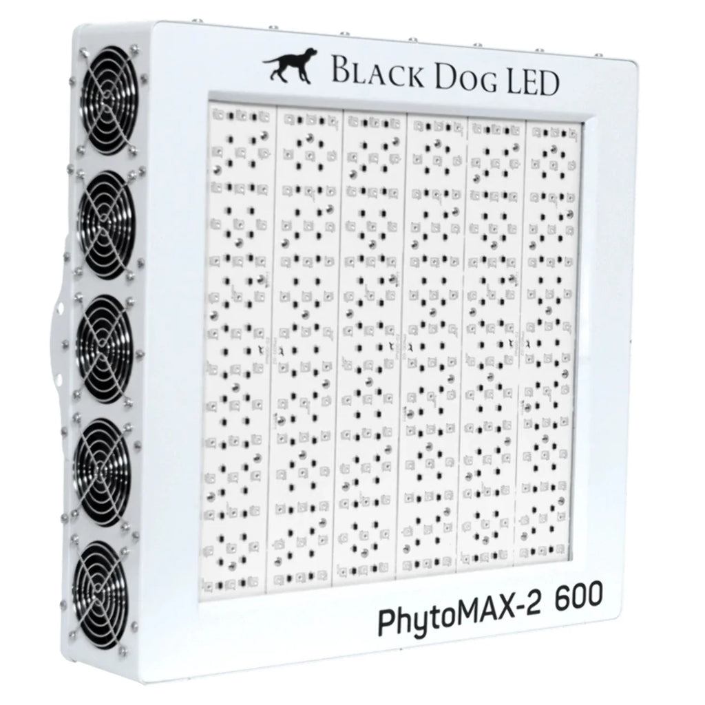 4X4 LED Grow Kit N2334